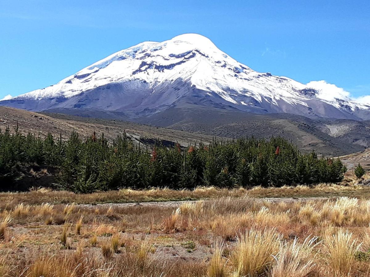 Hospedaje Chimborazo Dış mekan fotoğraf