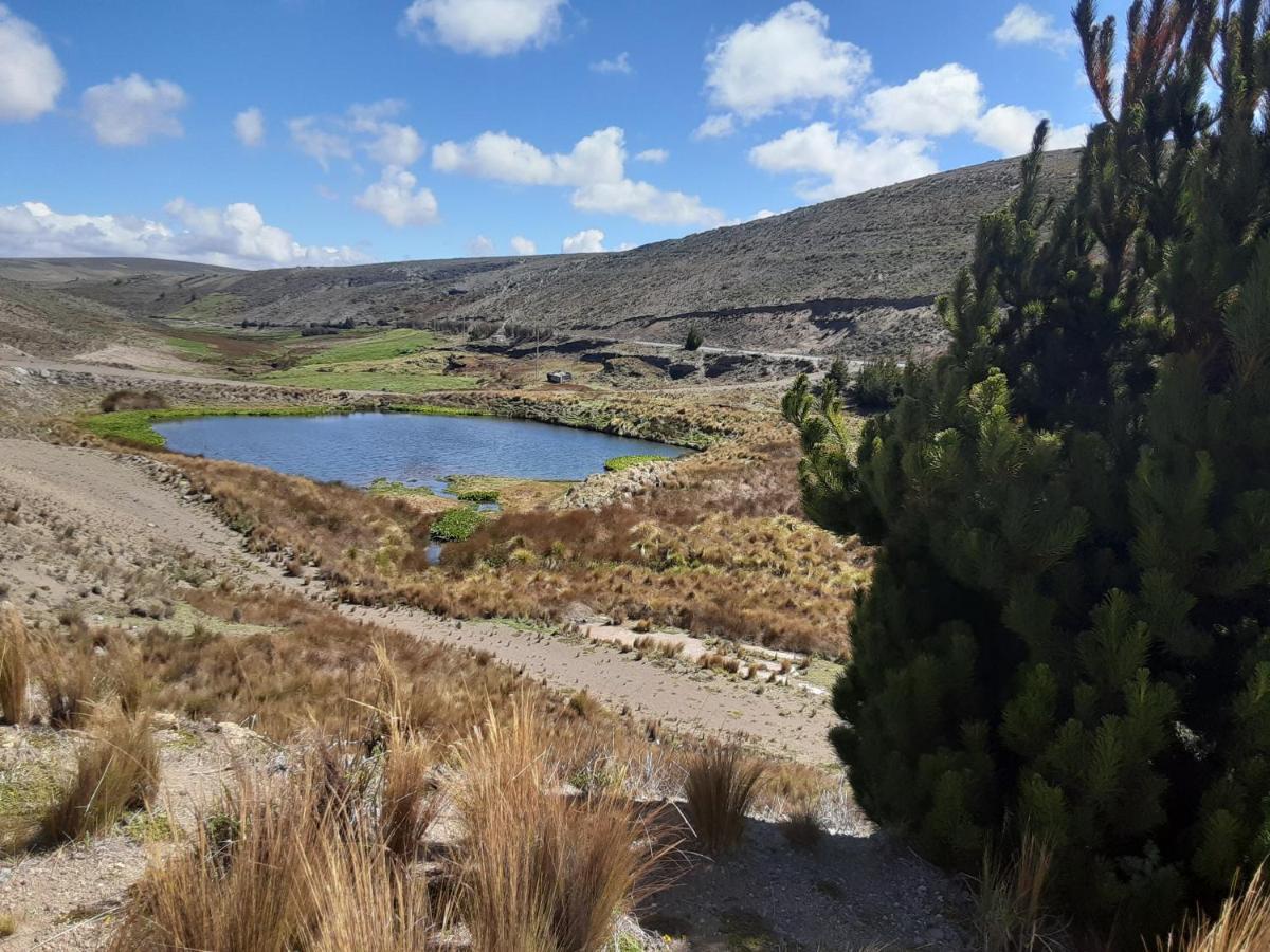 Hospedaje Chimborazo Dış mekan fotoğraf