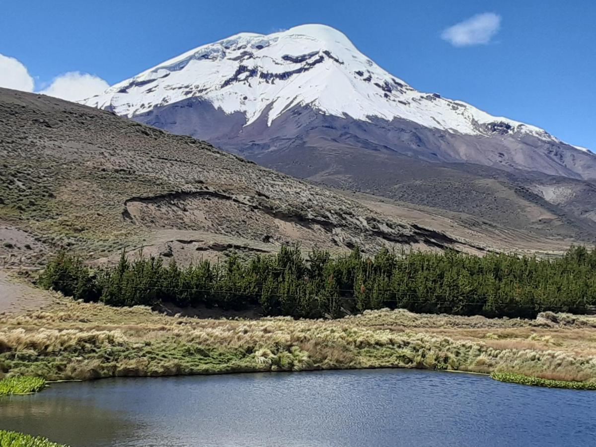 Hospedaje Chimborazo Dış mekan fotoğraf